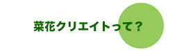 菜花クリエイトについて